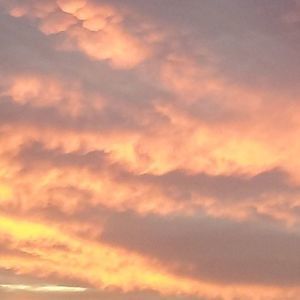 Meet your Posher, Ella